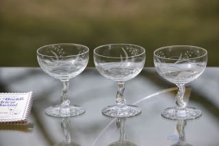 Vintage Etched CRYSTAL Cocktail Coupe glasses,  Set of 4,  Fostoria 1950 ' s 4