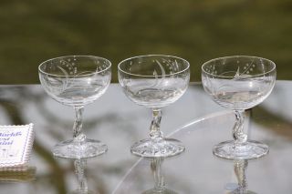 Vintage Etched CRYSTAL Cocktail Coupe glasses,  Set of 4,  Fostoria 1950 ' s 7