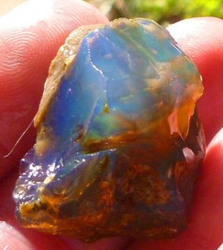 XXX Rare Virgin Valley Precious Black Opal Petrified Wood Log Nevada 62cts 3