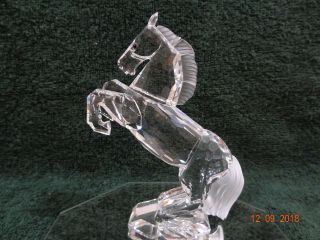 Vintage Swarovski Crystal White Stallion Horse Figurine 7612 Nr 000 001 / 174958