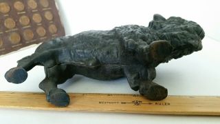 Antique Vintage Cast Iron (CI) Still Bank - Buffalo (Large) 5