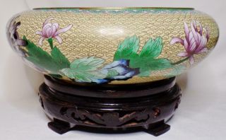 Large Vintage Chinese Cloisonne Swallow Bird Floral Low Squat Bowl W/wood Stand