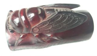 Vtg Cherry Amber Bakelite/Faturan/Phenolic Resin Chinese Carved Insect Cicada NR 3