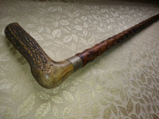 Antique Bone Antler & Knotty Wood Walking Stick Cane Rustic Very Old