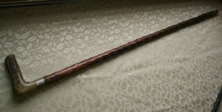 ANTIQUE BONE ANTLER & KNOTTY WOOD WALKING STICK CANE RUSTIC VERY OLD 2