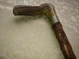 ANTIQUE BONE ANTLER & KNOTTY WOOD WALKING STICK CANE RUSTIC VERY OLD 5