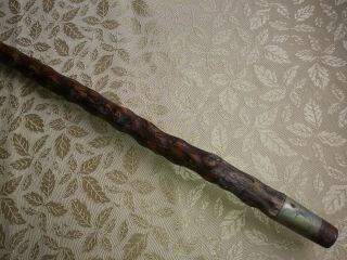 ANTIQUE BONE ANTLER & KNOTTY WOOD WALKING STICK CANE RUSTIC VERY OLD 7