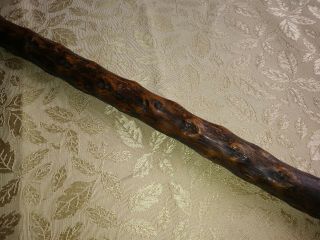 ANTIQUE BONE ANTLER & KNOTTY WOOD WALKING STICK CANE RUSTIC VERY OLD 8