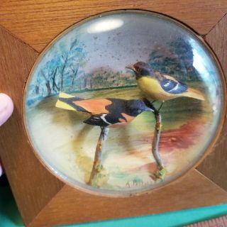 Vintage Art Peltier,  Ri Carver,  Baltimore Orioles Diorama Hand Carved Birds