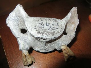 vintage art bone vertebrae Inuit Northwest Coast Native art Owl signed 7