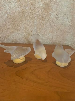 Lalique France Vintage Set Of 3 Crystal Sparrow Bird Figurines