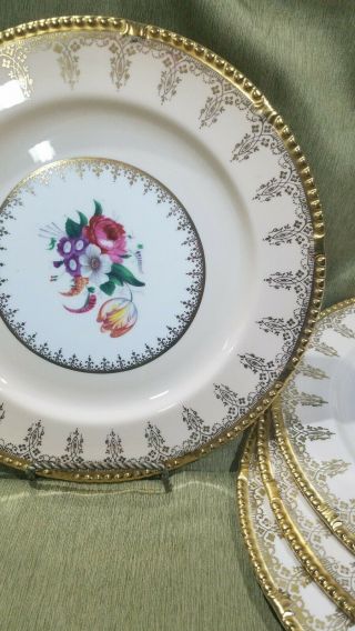 Vintage Paragon Fine Bone China Dinner Plates Set Of 7 Heavy Gold/excellent Cond