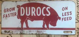 Durocs Hog Pig Sign Farm Barn Feed bacon Vintage Decor Art - License Plate Size 2