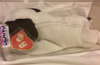 Authenticated Rare MWMT - MQ 2nd/1st Spot With No Spot Beanie Baby 3
