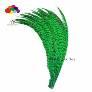Grassgreen 50Pcs 32 - 36in/80 - 90cm Zebra Pheasant feathers rare quality decoration 2