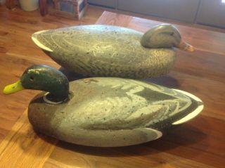 Vintage Ll Bean Cork/wood Mallard Decoy Ducks,  Glass Eyes