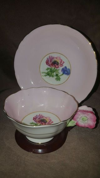 Rare Paragon Bone China Teacup & Saucer,  Anemone Flowered Handle.  England