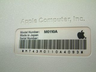 Vintage Apple Macintosh PLUS 