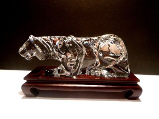 Vintage Baccarat Crystal Zodiac (1998) Tiger 5 7/8 " Made France On Wood Stand