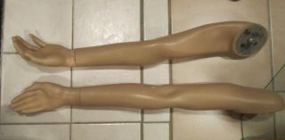 Vintage Female Straight Mannequin Arms & Hands - 27.  5 " Long Vgc