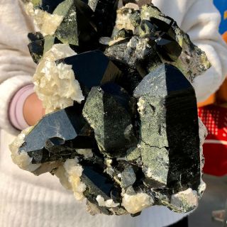 12.  1LB Rare Natural Black QUARTZ Crystal Cluster Mineral Specimen 10