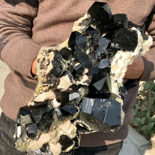 12.  1LB Rare Natural Black QUARTZ Crystal Cluster Mineral Specimen 8