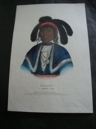 Rare 1836 Mckenney & Hall Hand Colored Folio Print: Micanopy
