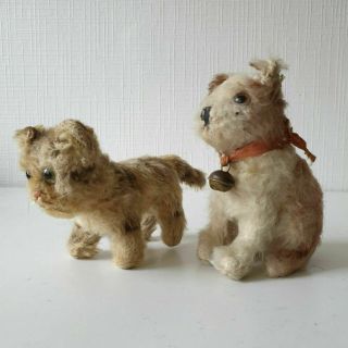2 Marvelous Early C1900 Small Steiff Stuffed Toys Teddy Bear/ Taby Cat & Dog