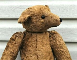 Antique Steiff Mohair Shoe Button Eyes Excelsior Stuffed Hump Back Teddy Bear
