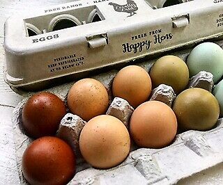 Henlay Egg Cartons - 90/Bundle - Vintage Design - Made in USA w Recycled Paper 8