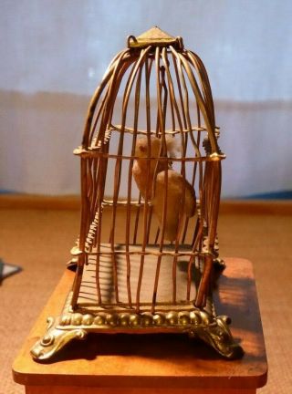 Charming Miniature Brass Wire Bird Cage w.  Bird on Swing Doll House Antique 3