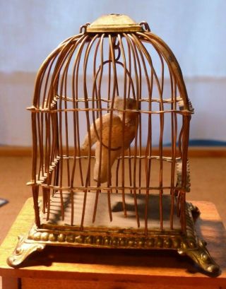 Charming Miniature Brass Wire Bird Cage w.  Bird on Swing Doll House Antique 4