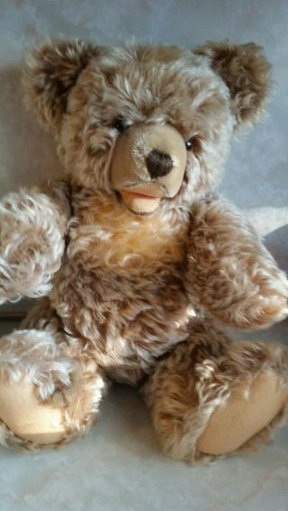 Vintage 15 " Steiff Zotty Mohair Teddy Bear W/growler 43 Cm