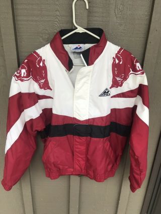 Vintage 1990s Arkansas Razorback Apex Jacket Signed By Corliss Williamson M