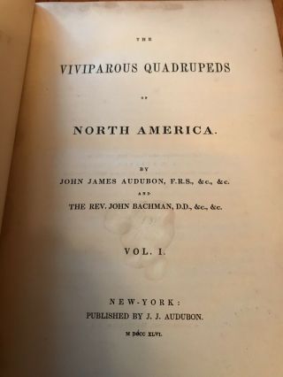 RARE 1846 - 1854 Quadrupeds Of North America In 3 Volumes By John James Audubon 10