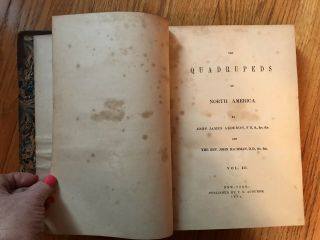 RARE 1846 - 1854 Quadrupeds Of North America In 3 Volumes By John James Audubon 4