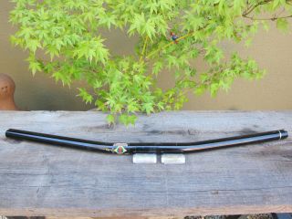 Vintage Salsa Cycles Flat Bar Retro Mountain Bike