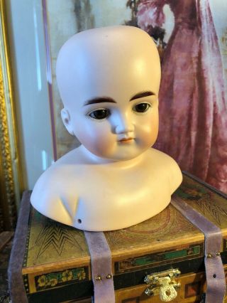 Gorgeous Antique German Closed Mouth ABG 639 Solid Dome Doll Head 6