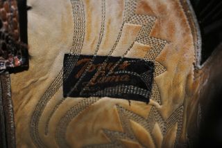 Vintage Tony Lama Exotic Snake Skin Leather Cowboy Western Boots Men ' s 11D 5