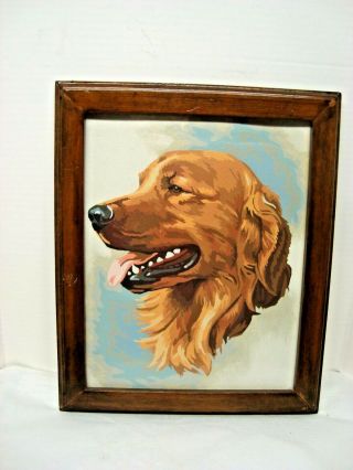 Vintage 15 X 12 Framed Paint By Number Picture Of A Golden Lab