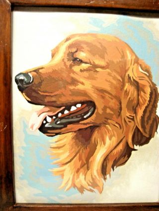 Vintage 15 X 12 Framed Paint by Number Picture Of A Golden Lab 2