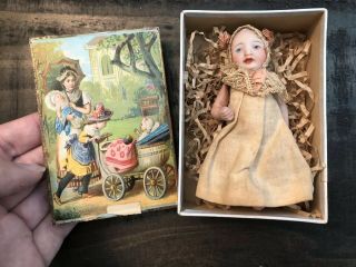 Antique German All Bisque Character Baby Doll W Clothes Antique Box