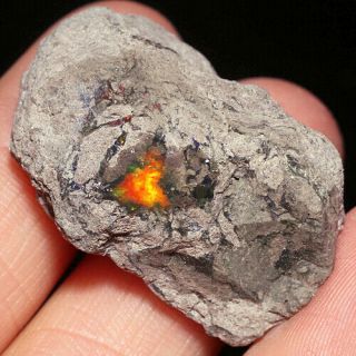 46.  2ct 100 Natural Found African Black Opal Facet Rough Specimen Yhp819