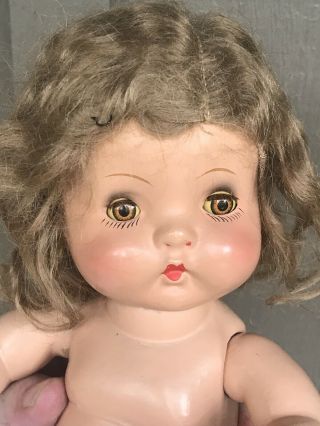 Vintage 1937 ? 12.  5” Composition Ideal Shirley Temple Doll ? Not Sure