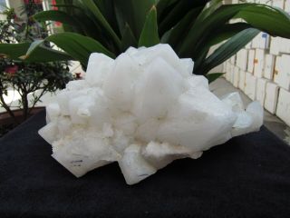 13.  25lb RARE NATURAL CLEAR quartz crystal cluster point Specimens 10