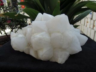 13.  25lb RARE NATURAL CLEAR quartz crystal cluster point Specimens 11