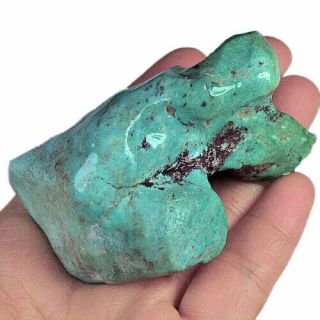 407ct 100 Natural Untreated Sleeping Beauty Turquois Rough Specimen Myst968