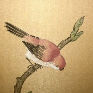 Vintage Chinese Silk Watercolor Painting Bird & Flowers Art Custom Framed Glass 7