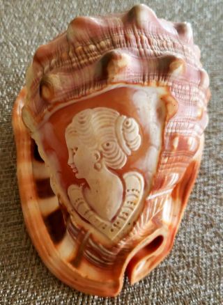 Vintage Large Hand Carved Italian Real Conch Shell Cameo W/ Label