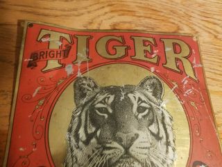 Rare Vintage Tiger Chewing Tobacco Metal Tin Sign 5 Cents Old General Store 2